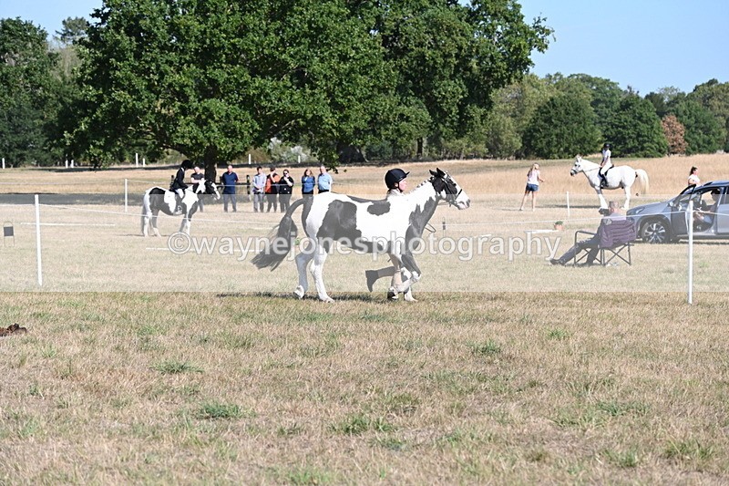 WJ6_7244 - Class 33 Rescue Pony