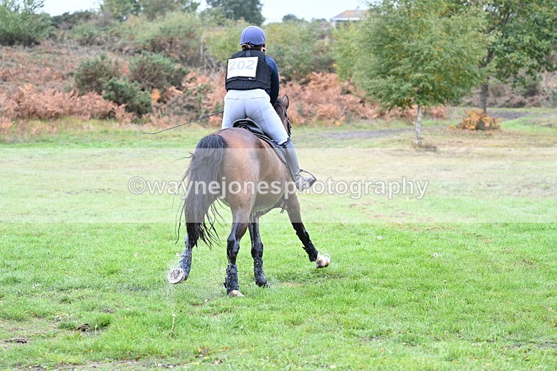 WJ7_5419 - Time 13:00 to 13:18