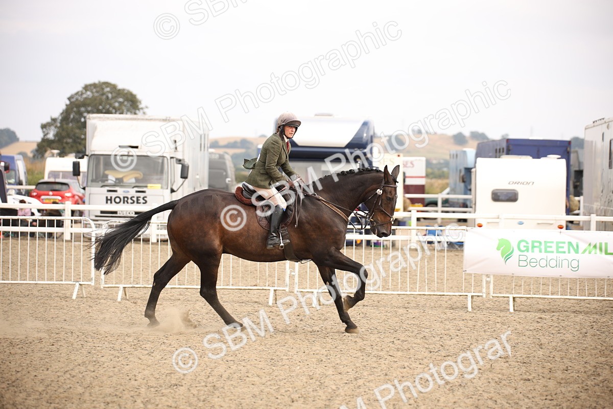 SBM_17100 - Class 409b - Working Veteran 80cm (20+)