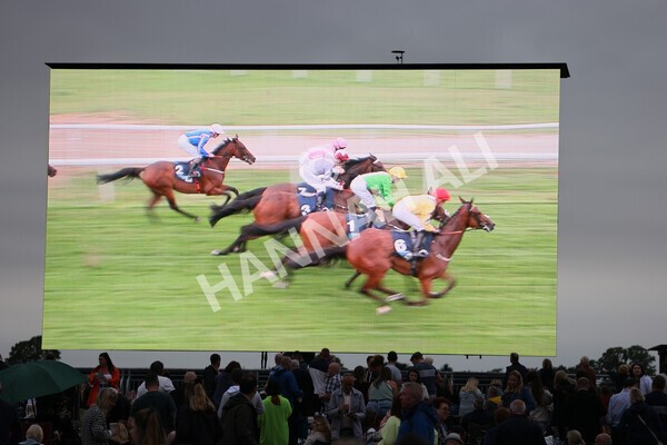 yr22072022r5-17 - Race 5 7.20pm British Stallion Studs EBF Lyric Fillies' Stakes