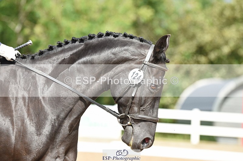 230912A-123012-00833 - Cls 8 Elementary 59