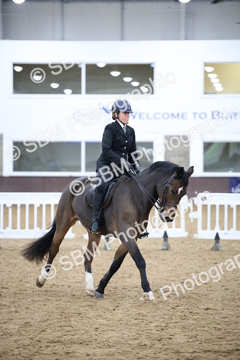5K7A6091 - Class 48 - Ridden Mare