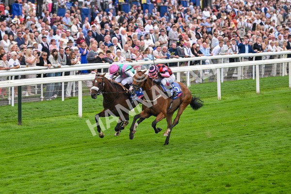 230825-Race 2-Tarriance-0015 - Race 2 2.25pm Sky Bet Melrose Handicap