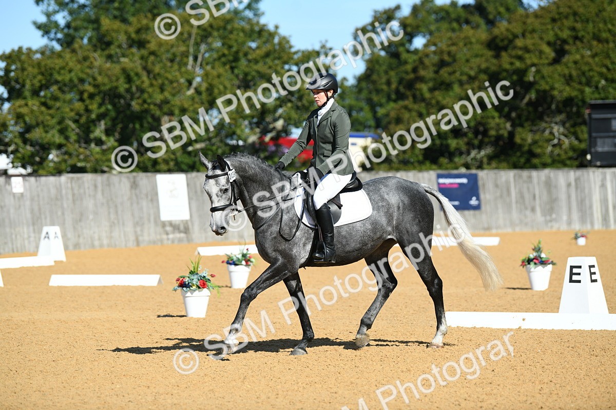 SBM_17949 - D4 - Small Tour Championship - Intro B