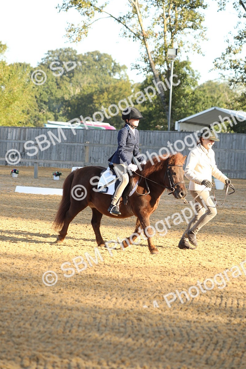 SBM_33611 - D26 - Starers - Lead Rein