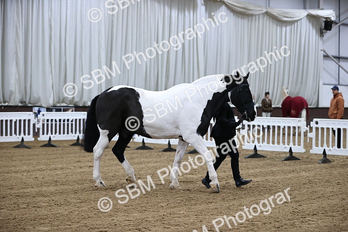 SBM_5341 - Class 32 - In Hand Cob Type