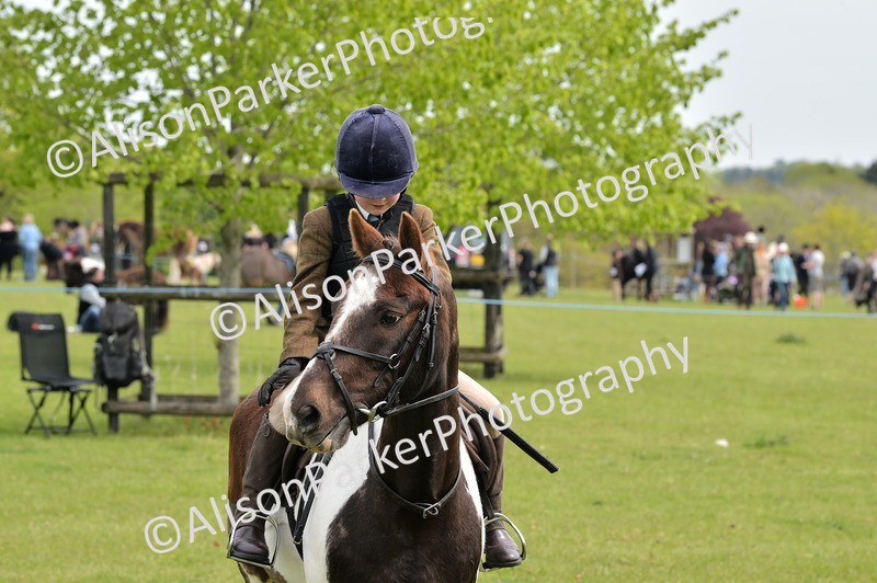 20260426-2433 - Class 21 - Working Hunter Ponies
