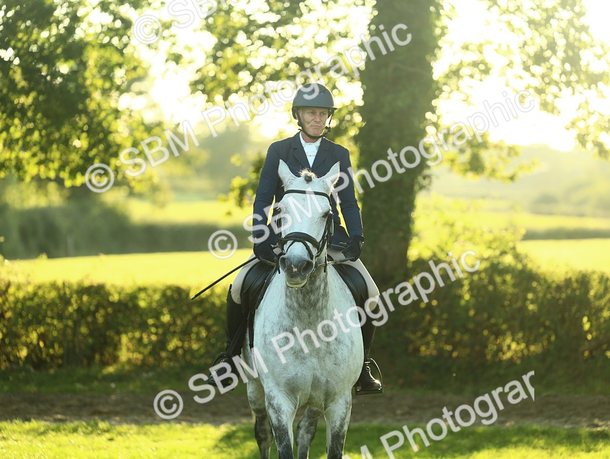 SBM_55601 - S14 - Riding Club Horse