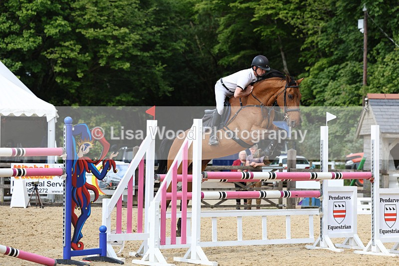 3E7A7805 - Class 8: Senior Foxhunter/1.20 open