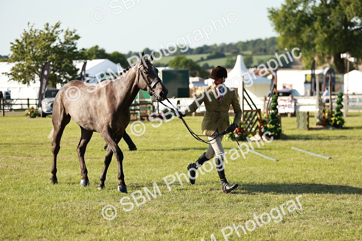 SBM_20170 - Class 117-119 - Sport Horse Working Hunter