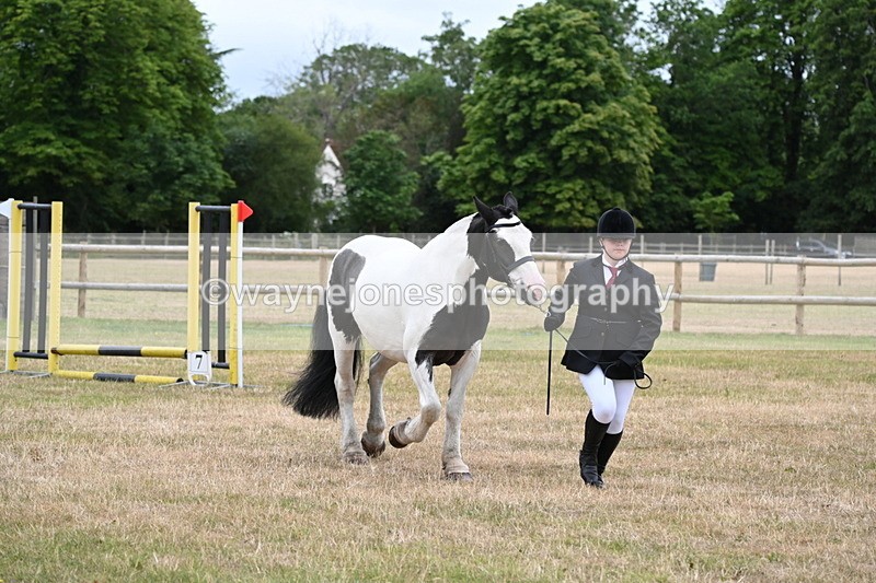 WJ6_4359 - Class 10 Coloured In-hand