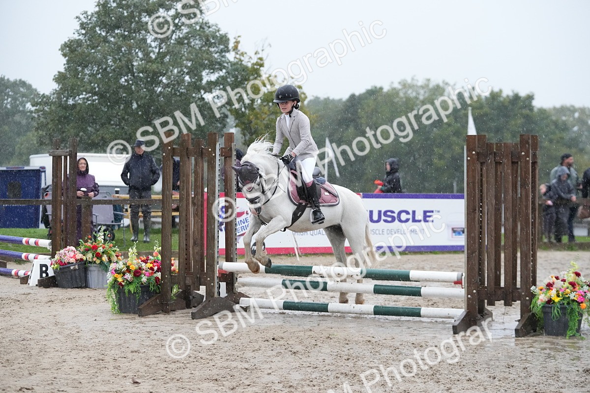 SBM_36130 - J5 - Junior Pony 50cm Championship