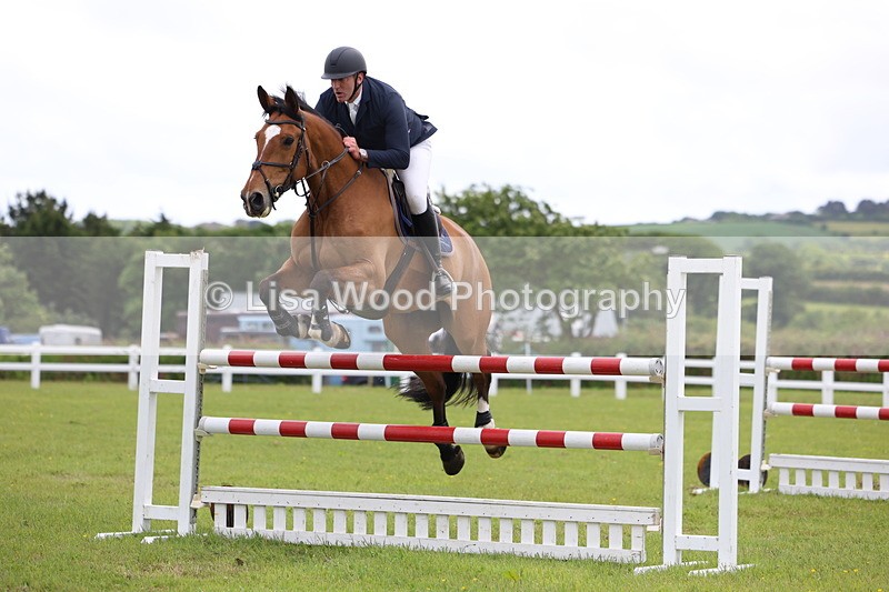 3E7A7054 - Class 12: Senior Foxhunter/1.20 open