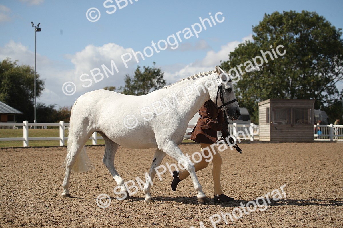 SBM_23527_Class 605 - 2026 - Area - IH Veteran - Vicky Gutteridge