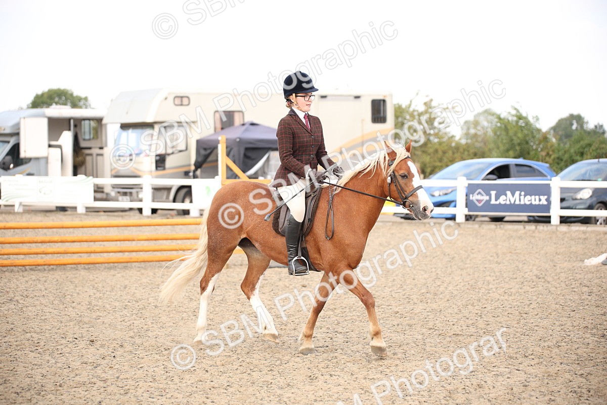 SBM_16018 - Class 408b - Working Veteran 70cm (20+)