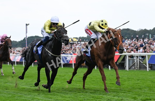230825-004 King Of Cities - Race 1 1.50pm Sky Bet Strensall Stakes