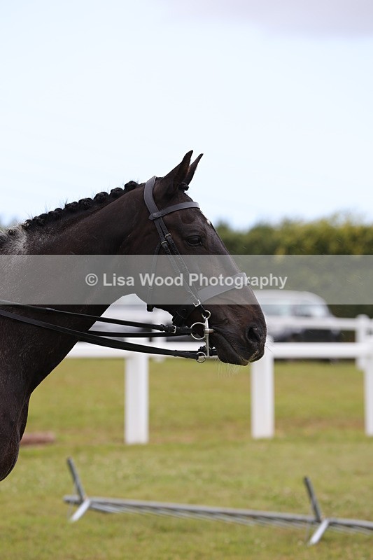 1X9A4462 - Class 34: Veteran Ridden