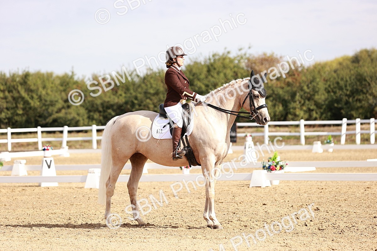 SBM_017007 - Class 10 - Medium 6