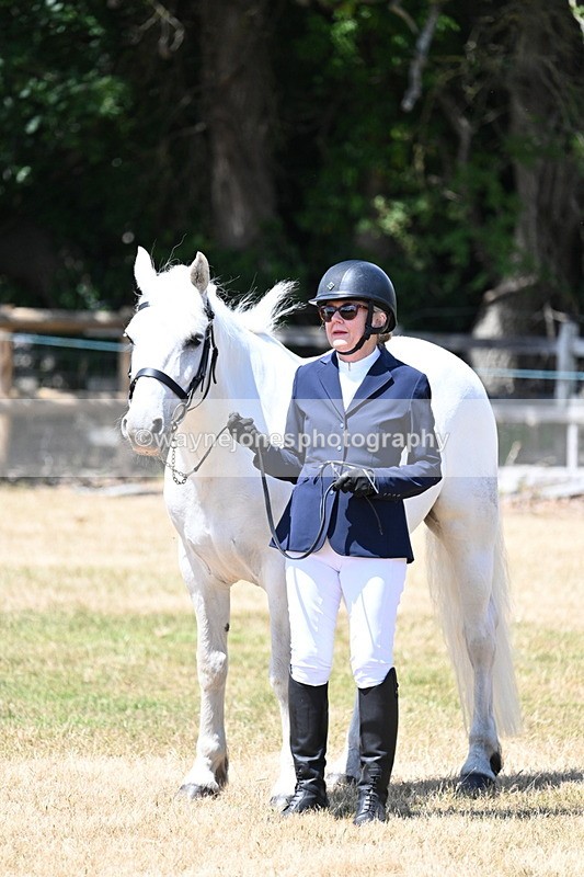 WJ7_2342 - Class 5a Most Handsome Gelding in hand (above 14.2hh)