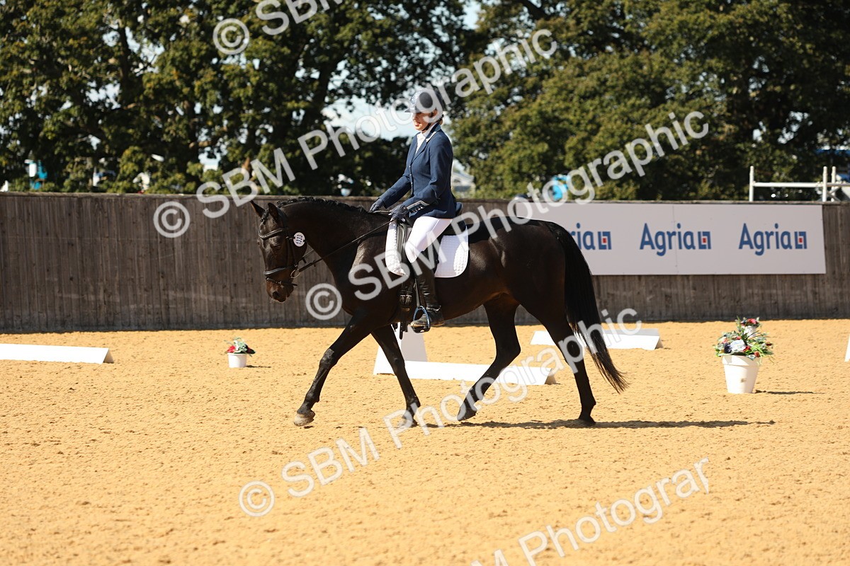 SBM_24482 - D17 - Grand Tour Championship - Novice 27