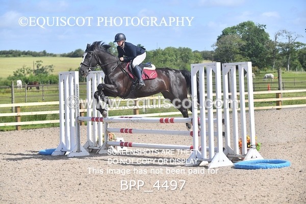 BPP_4497 - CLASS 3 Senior British Novice/ 90cm Open