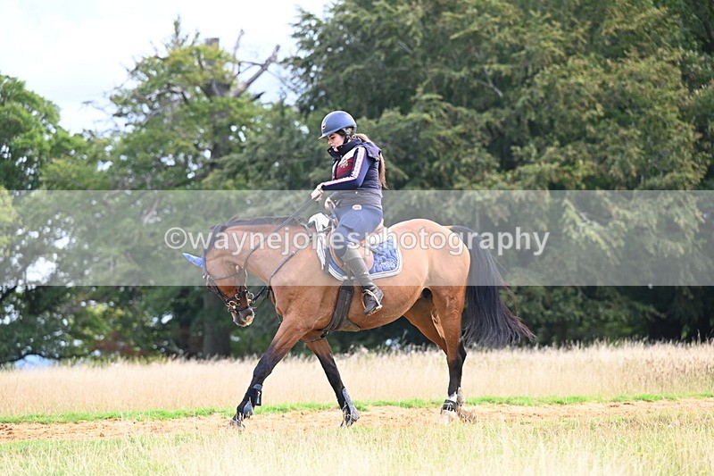 DSC_4391 - Time at Statue 09:50 to 11:09