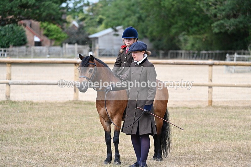 WJ7_6475 - Class 1 Lead Rein Pony