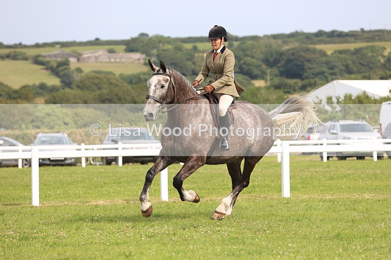 JPP_4082 - Class 24: Working Hunter 90cm
