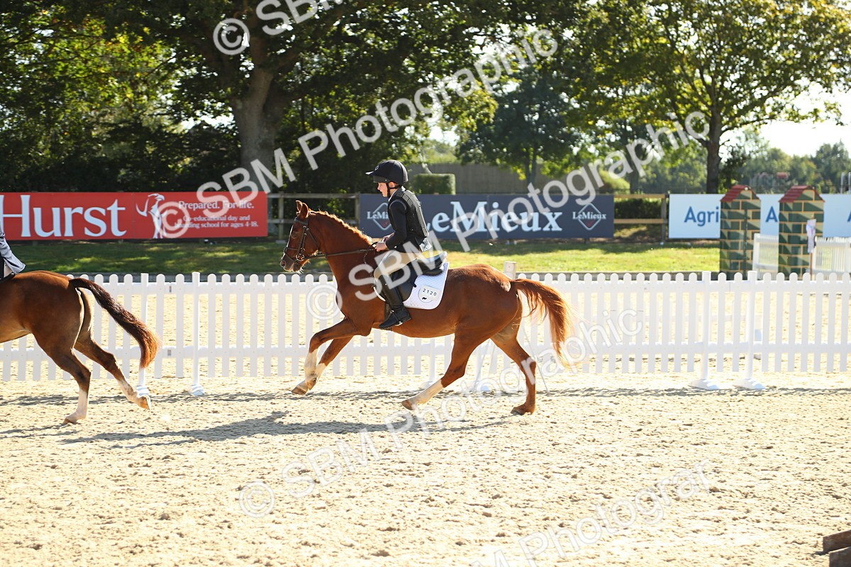 SBM_36078 - J5 - Junior Pony 50cm Championship