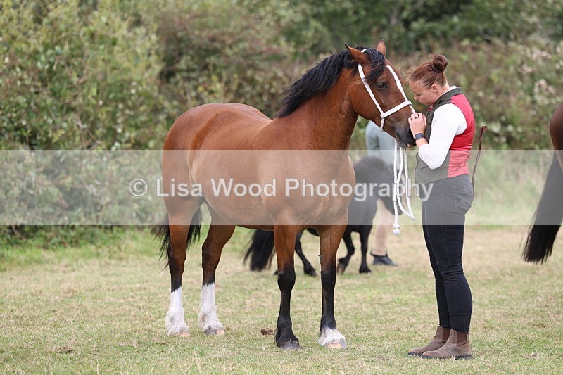 3E7A4644 - Class 16: Best Grass Kept