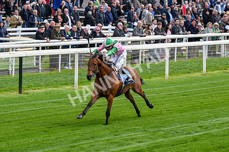 140526-Race 2-Jakajaro-0079 - Race 2 2.20pm Lindum York Handicap