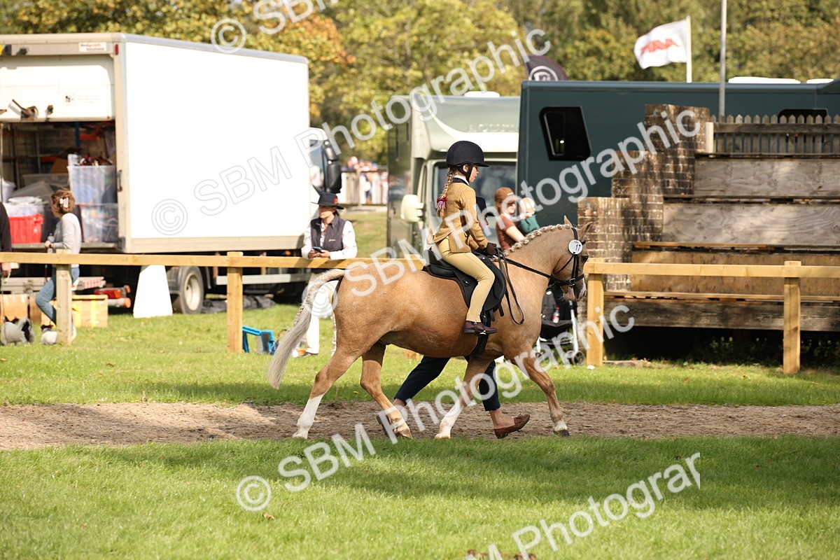 SBM_49987 - S26 - Young Veteran - Ridden