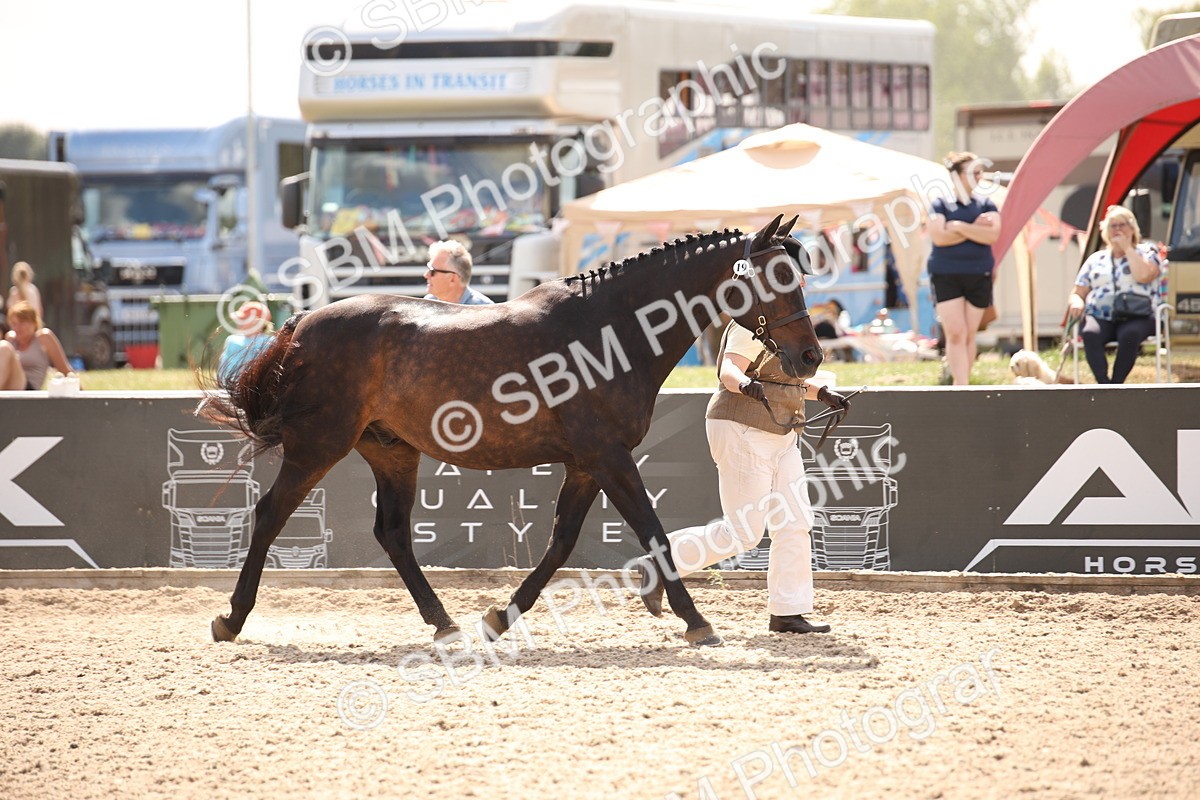 SBM_04537 - Class 20 IH Veteran