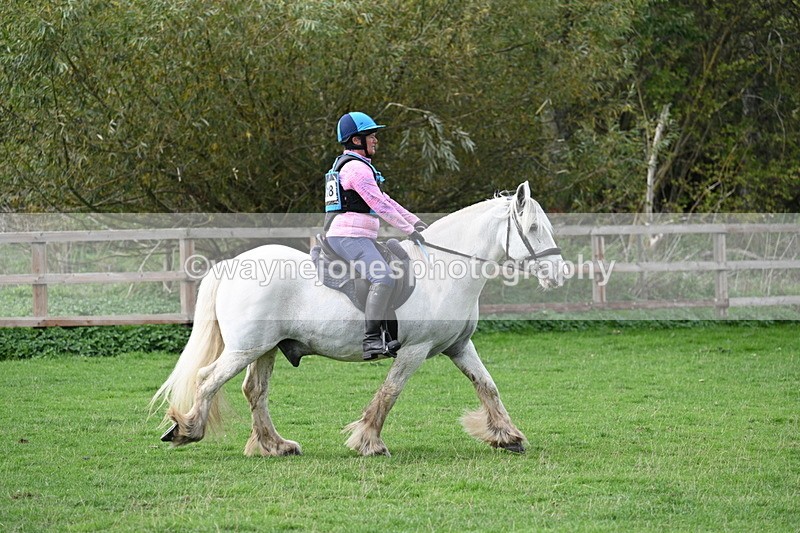 WJ7_9808 - Time 13:13 to 13:55