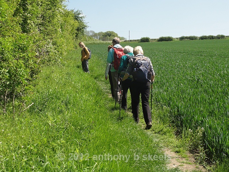 006 Taking a left turn for Given Dale and Lunch - SAINT PAULINUS PILGRIMAGE TRAIL