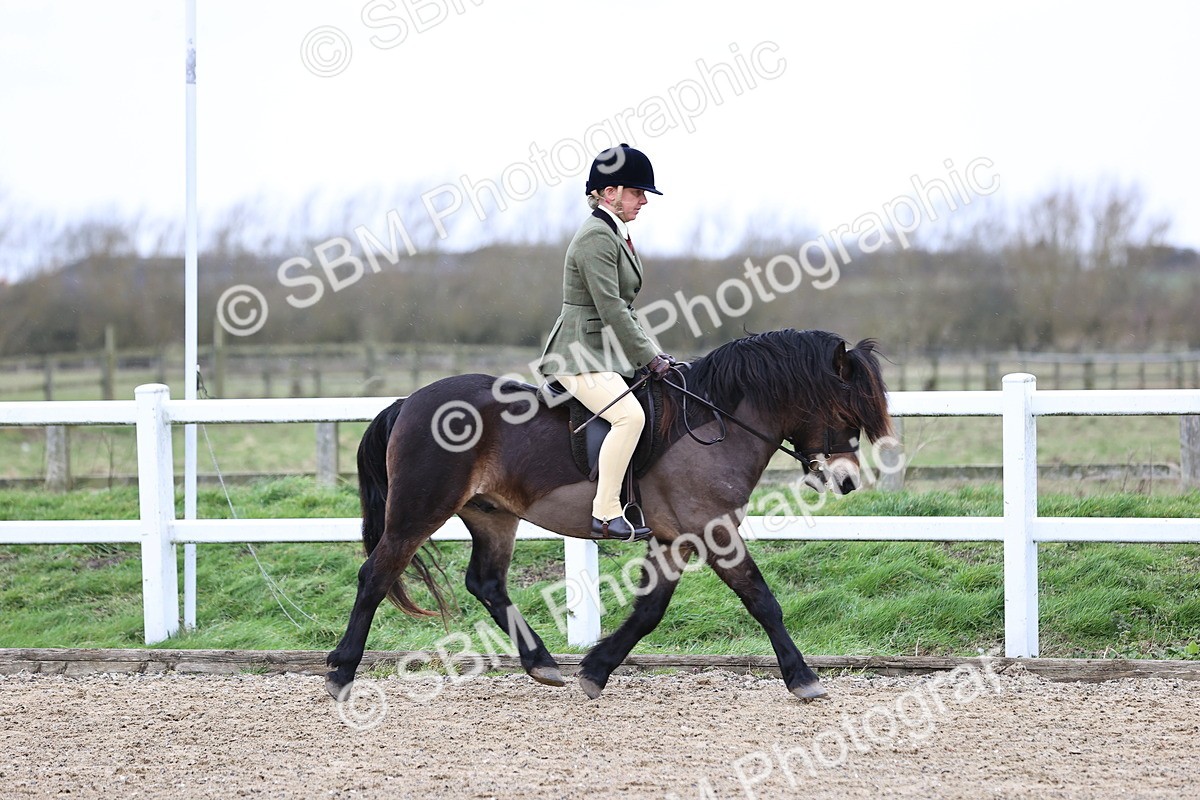 SBM_007409 - Class 31-32 - M&M Confined Novice Small-Large