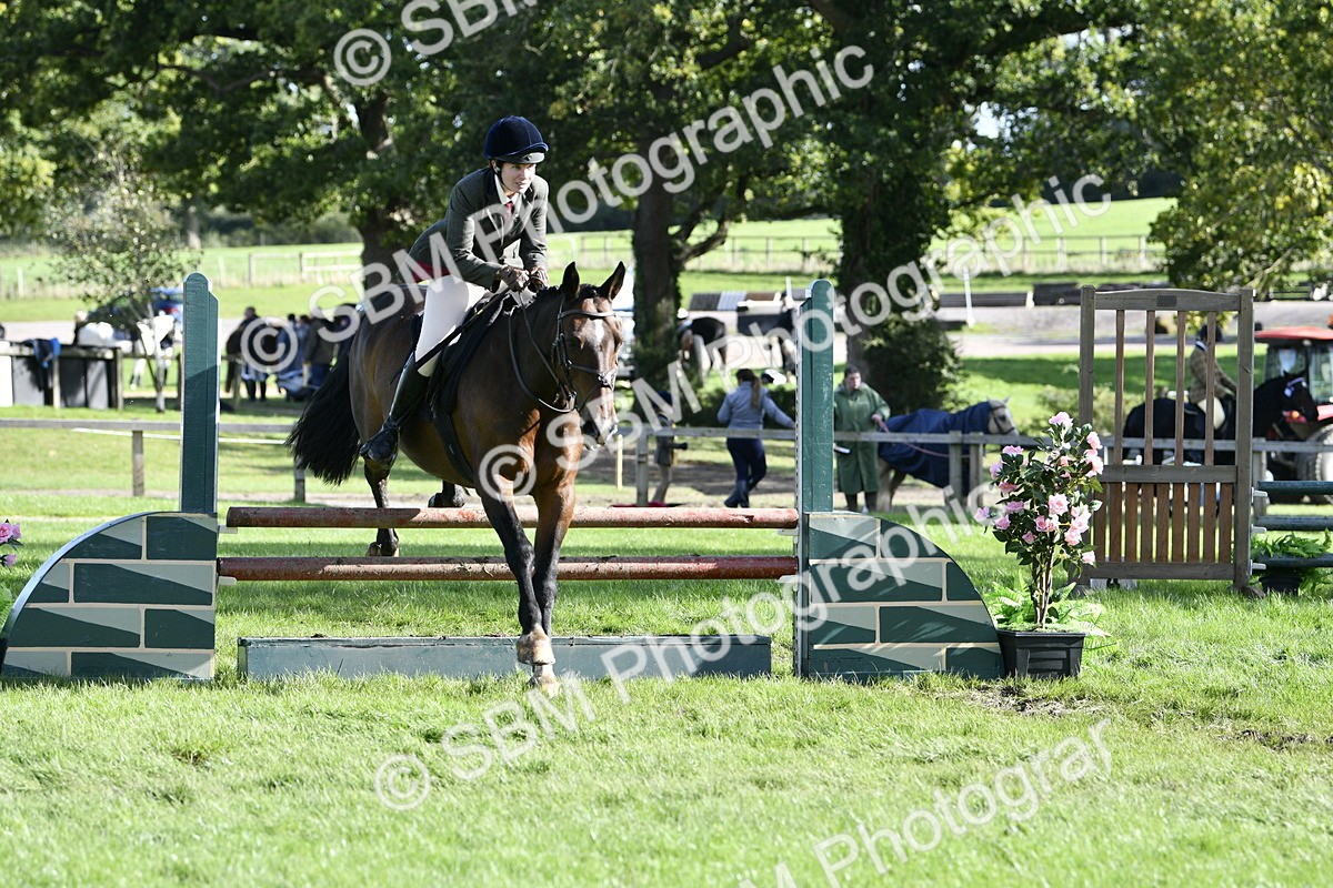 SBM_50068 - S34 - Novice & Newcomers Working Hunter