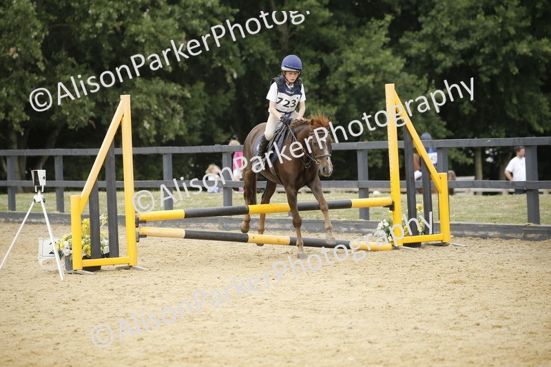 20250622-6043 - 60cm