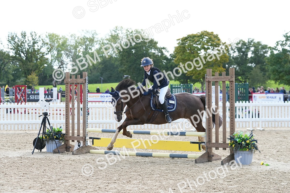 SBM_46822 - J7 - Junior Pony 60cm Championship