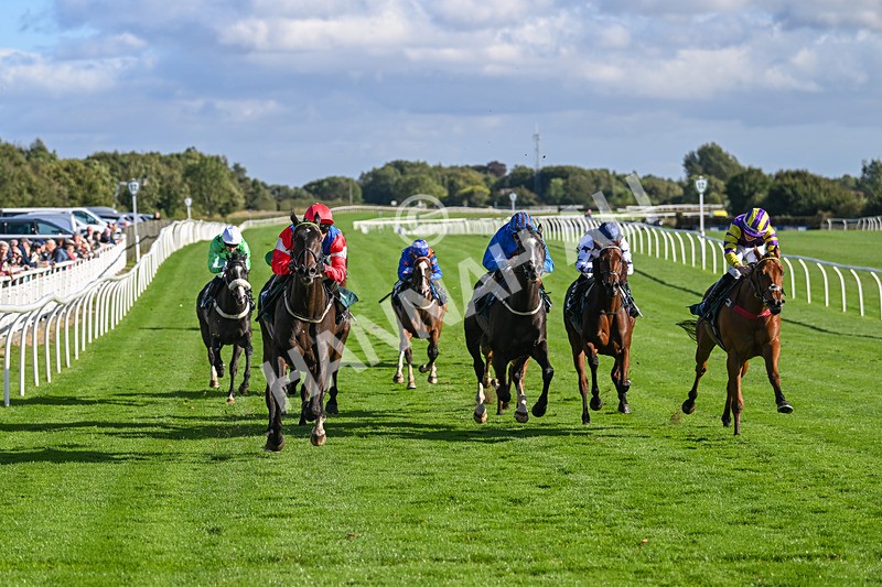 100924-Race 5-Crocodile Power-0435 - Race 5