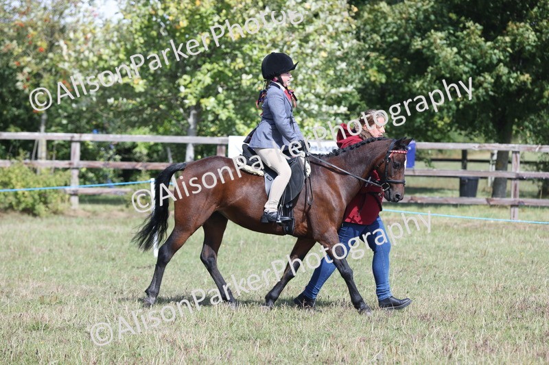 20250831-2623 - Class 17 - Lead Rein Pony