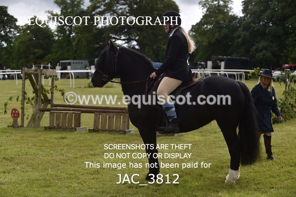 JAC_3812 - 65cm WORKING HUNTER