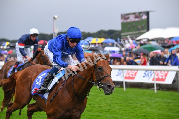 yr21082021r3-17 - Race 3 3.00pm Sky Bet City of York Stakes