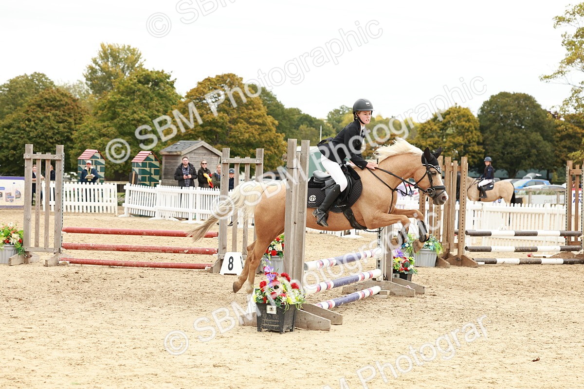 SBM_65278 - Supreme Championship 50cm & 55cm