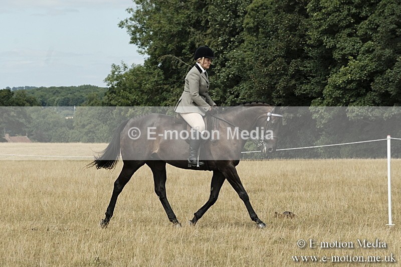 _PJP6088 - BVRC Show 2018 Ring 1