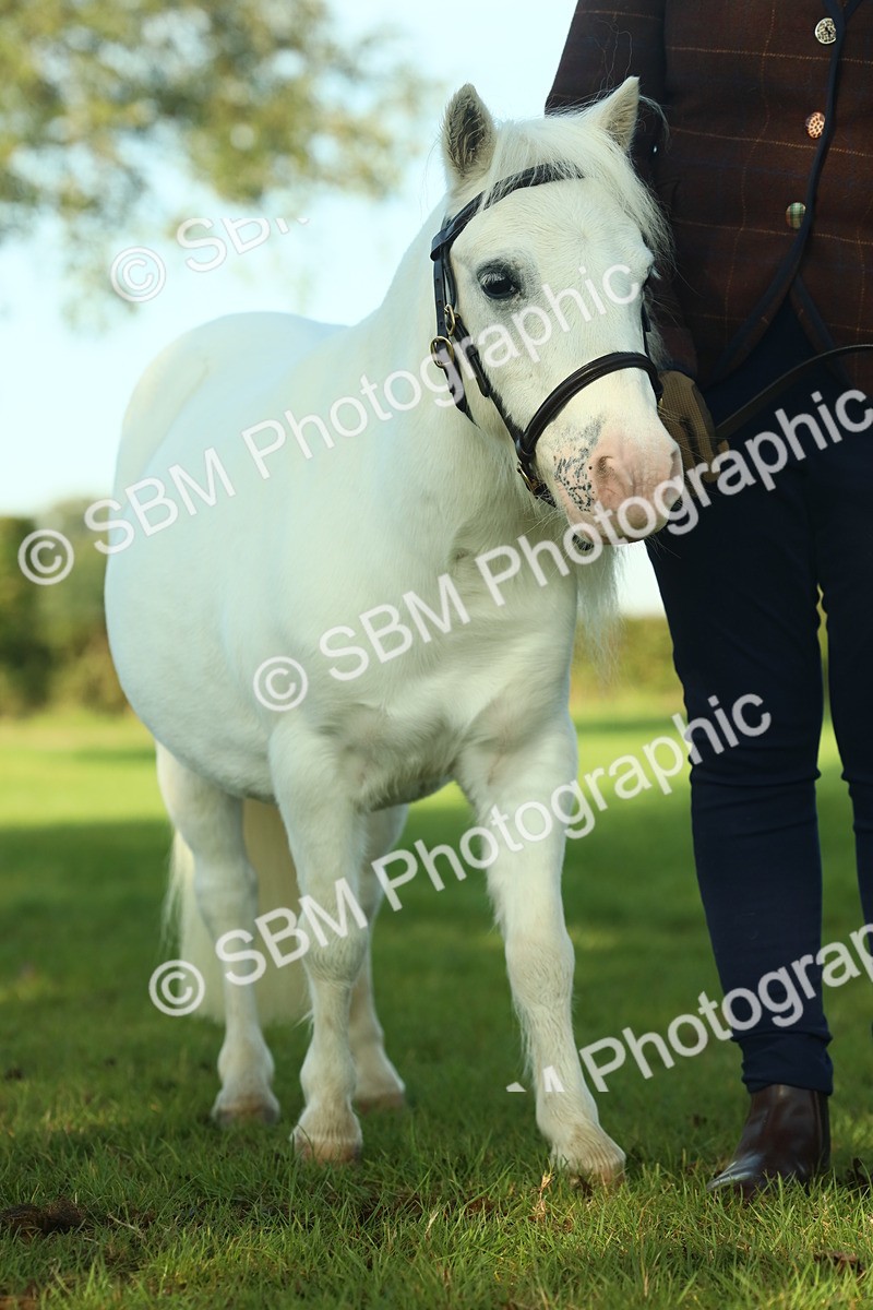 SBM_58604 - S37 - Starters In Hand Showing