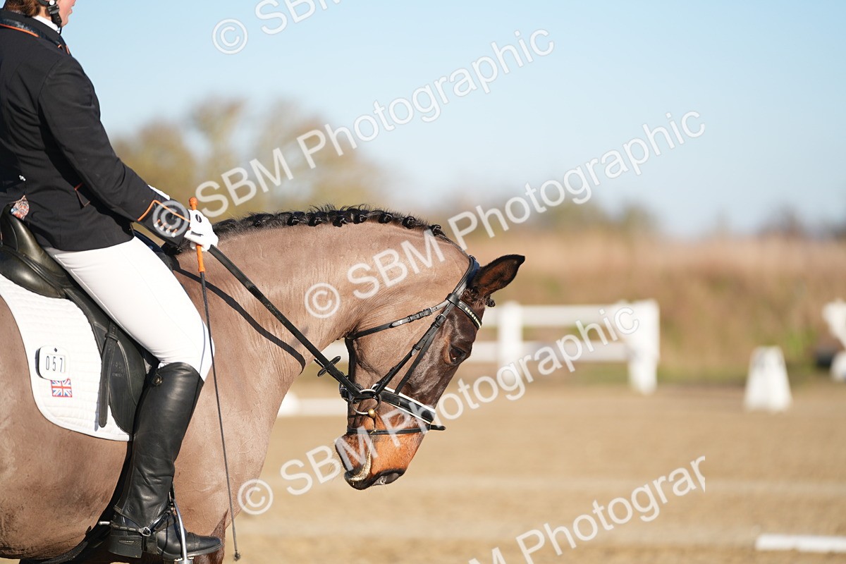 SBM_005669 - Class 6 - E1-80cm