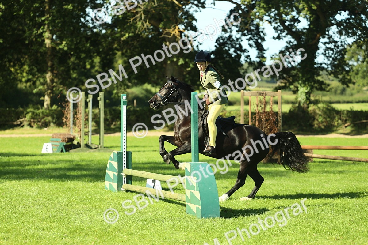 SBM_37401 - S29 - Novice & Newcomers Working Hunter Pony