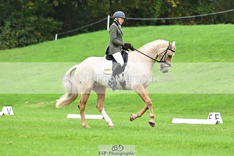 241024-125229-03540 - 519-Jane.Rogers-CORRIEVIEW.MERLIN.MAGIC