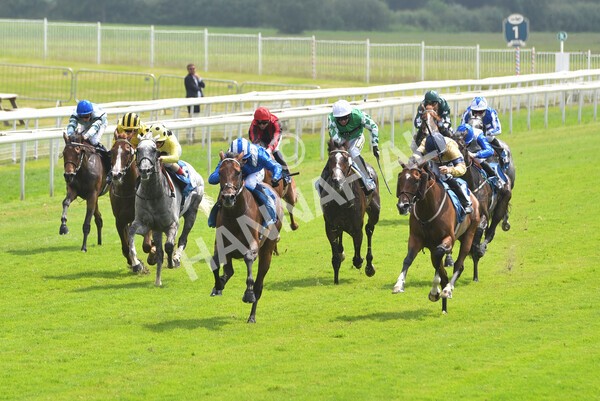 yr10072021r2-8 - Race 2: 2.20pm John Smith's Silver Cup Stakes